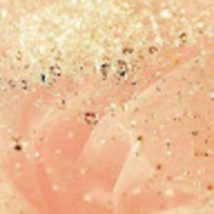 Meet your Posher, Christina wike